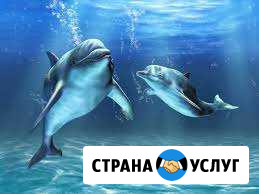 Репетитор по биологии Ухта - изображение 1