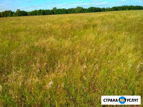 Сено в рулонах Аскарово - изображение 1