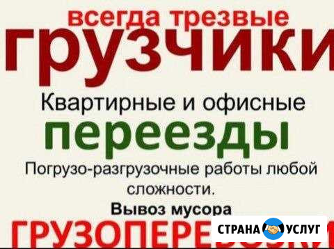 Грузчики, переезды, вывоз мусора, певозка пианино Пермь - изображение 1
