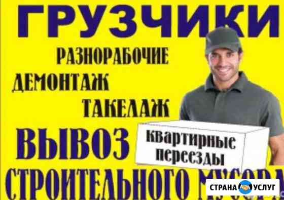 Грузчики. Переезды. Утилизация хлама. Демонтаж Саратов