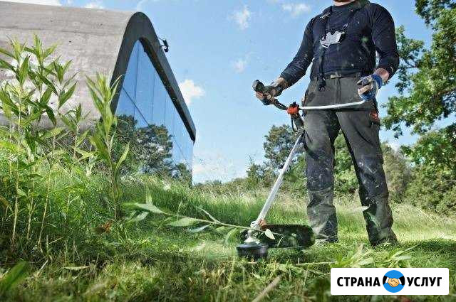 Покос газона кустарника и мелких деревьев Пермь - изображение 1