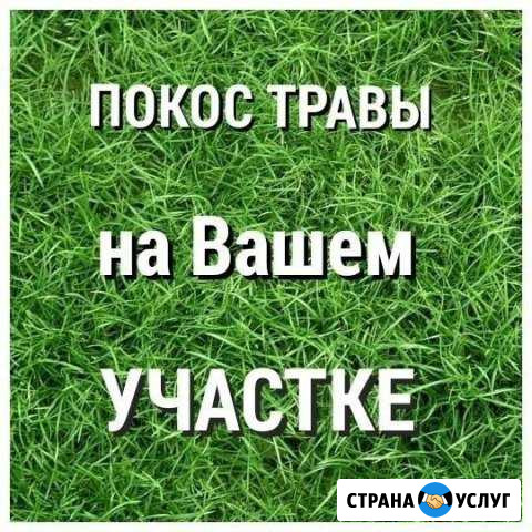 Копка траншей спиль покос травы корчевка уборка Серебряные Пруды - изображение 1