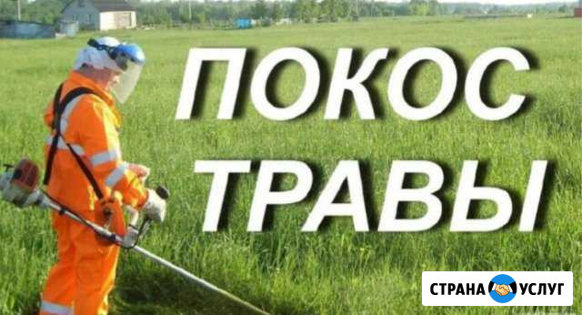 Покос травы Кинешма - изображение 1