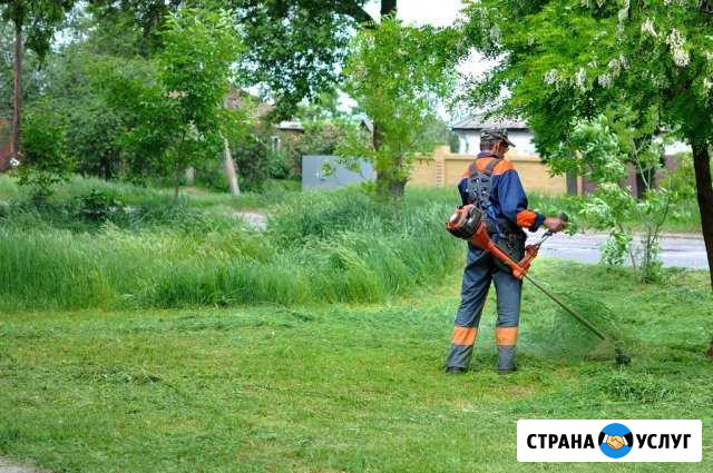 Покос травы и спил деревьев Балаково - изображение 1