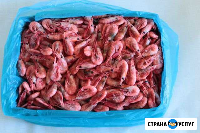 Мурманские креветки Заречный - изображение 1