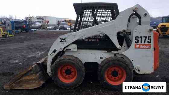 Аренда мини погрузчика Bobcat Димитровград