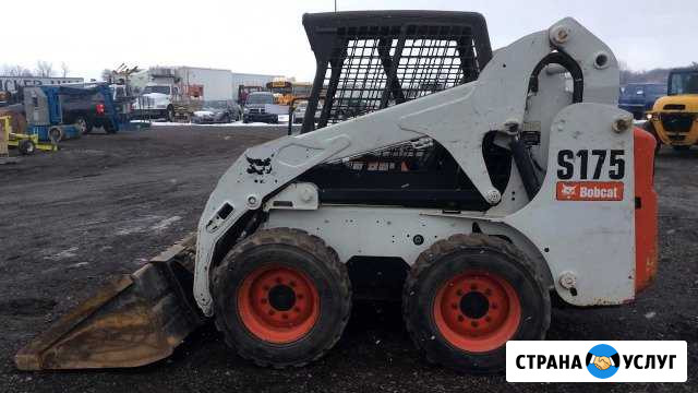 Аренда мини погрузчика Bobcat Димитровград - изображение 1