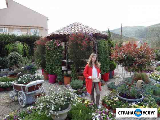 Консультация по ландшафтному дизайну с выездом Нижний Новгород