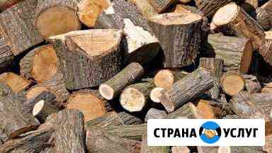 Спилим,вывезем, брёвна берёза,ольха,осина,дуб Санкт-Петербург