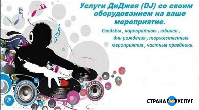 Dj на ваше мироприятие Свободный - изображение 1