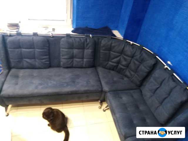 Перетяжка и ремонт мягкой мебели Миллерово - изображение 1