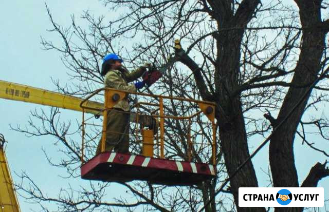 Расчистка участков Балашиха - изображение 1