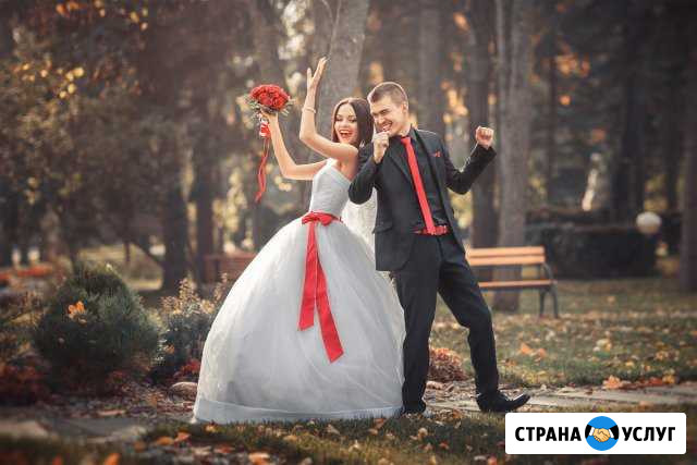 Ведущая (тамада) и диджей Волгоград - изображение 1