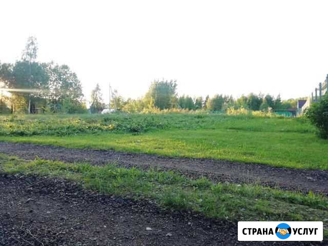 Вырубка (спил) деревьев, кустарников на участках Клин - изображение 1