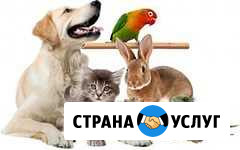 Ветеринарный врач Волгодонск - изображение 1