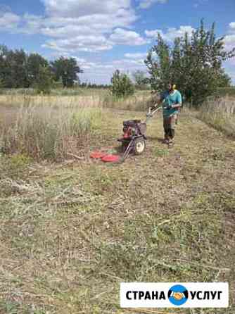 Скос травы мотоблоком Воронеж