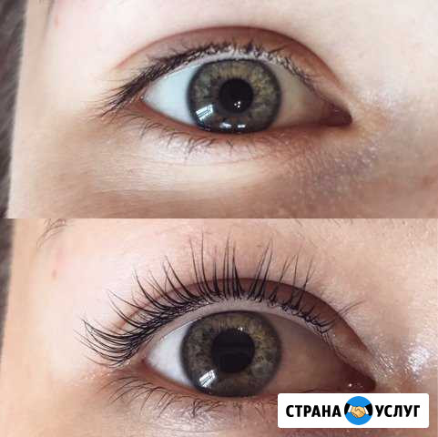 Ламинирование ресниц Velvet с выездом на дом Старый Оскол - изображение 1