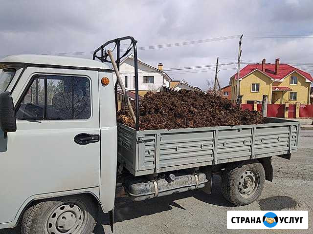 Доставка навоза,перегноя,торфа Большой Исток - изображение 1