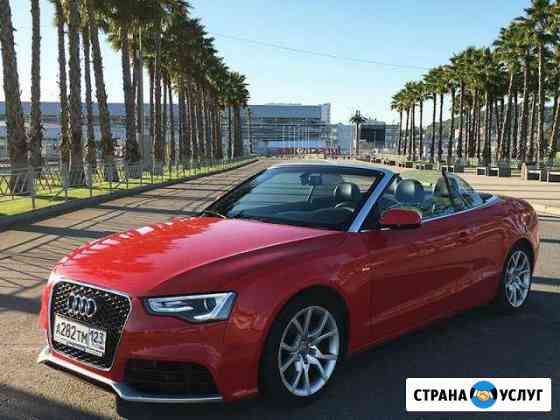 Аренда кабриолета Audi A5 в Сочи и Адлере Сочи