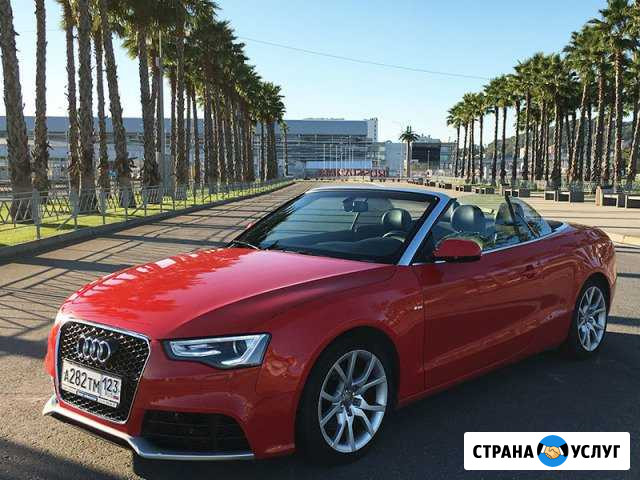 Аренда кабриолета Audi A5 в Сочи и Адлере Сочи - изображение 1