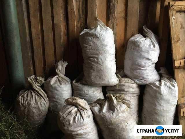 Навоз конский Богородск - изображение 1
