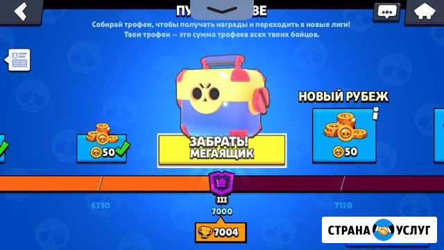 Тренер по Brawl stars Приволжский - изображение 1