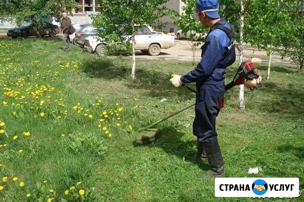 Покос, косьба травы, выкосить траву, скосить траву Екатеринбург - изображение 1