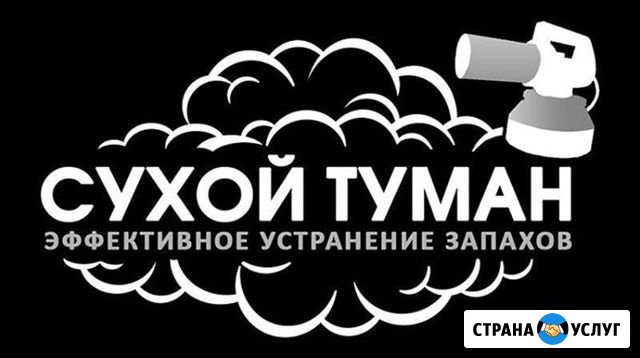 Обработка помещений и авто сухим туманом Ульяновск - изображение 1