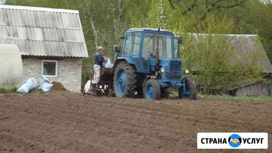 Картофель деревенский домашний Глинищево