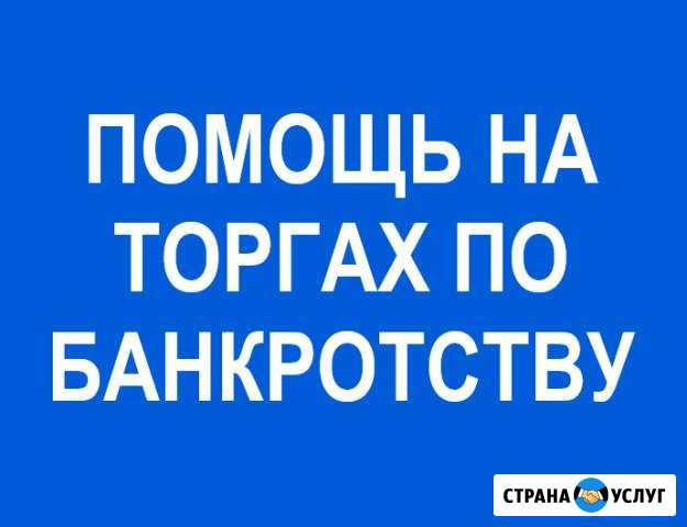 Участие в торгах по банкротству через агента Челябинск - изображение 1