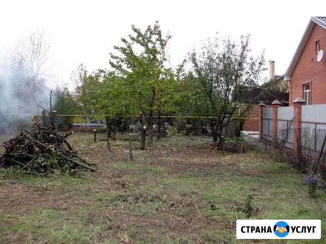 Санитарная обрезка,удаление опасных деревьев Краснодар - изображение 1