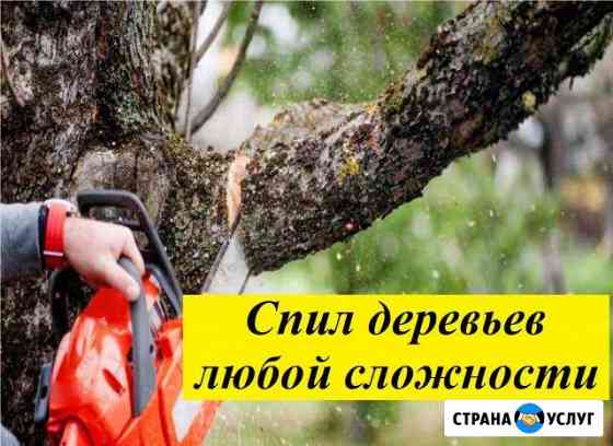 Спил деревьев Нижний Новгород