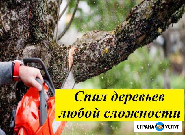 Спил деревьев Нижний Новгород - изображение 1