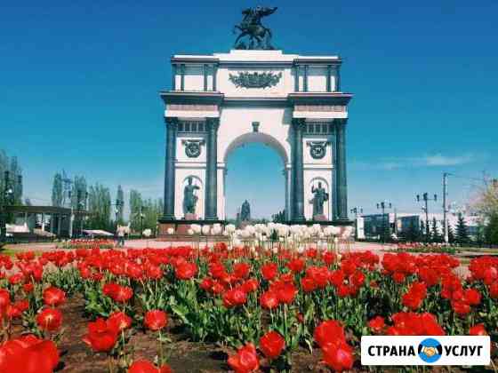 Межгород перевозки Курск