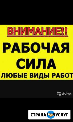 Разнорабочие.Землекопы.Грузчики.Демонтаж Чебоксары - изображение 1