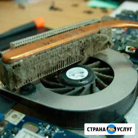 Чистка любого ноутбука на дому Новомосковск - изображение 1