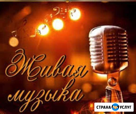 Живая музыка, ведущая и DJ. Праздник п Новошахтинск - изображение 1