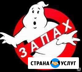 Устранение неприятных запахов, Авто и помещениях Курсавка - изображение 1