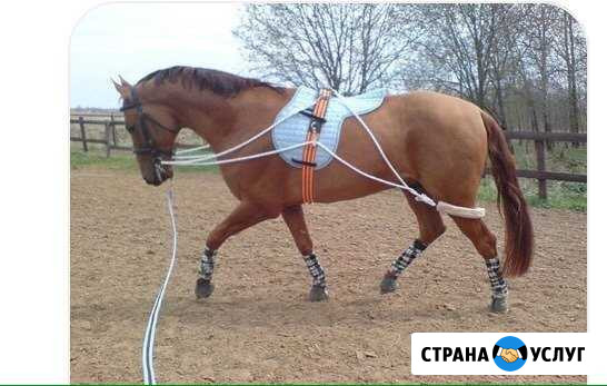 Обучение Назрань - изображение 1