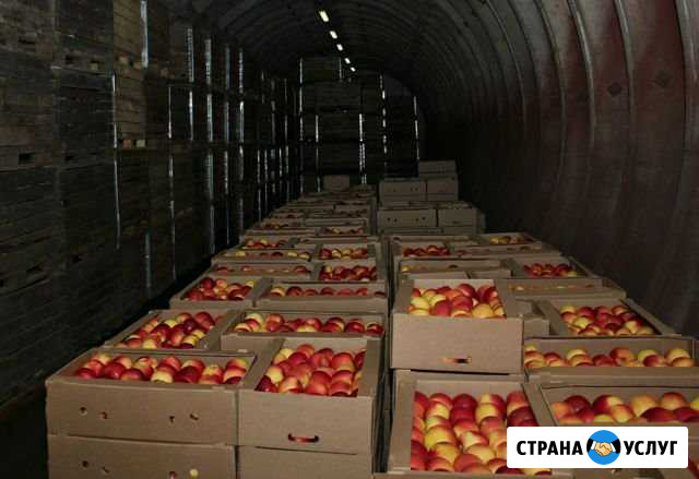 Установка овощехранилищ, фруктохранилищ Сальск - изображение 1