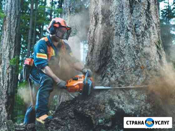 Аренда инструмента. Доставка Красноярск