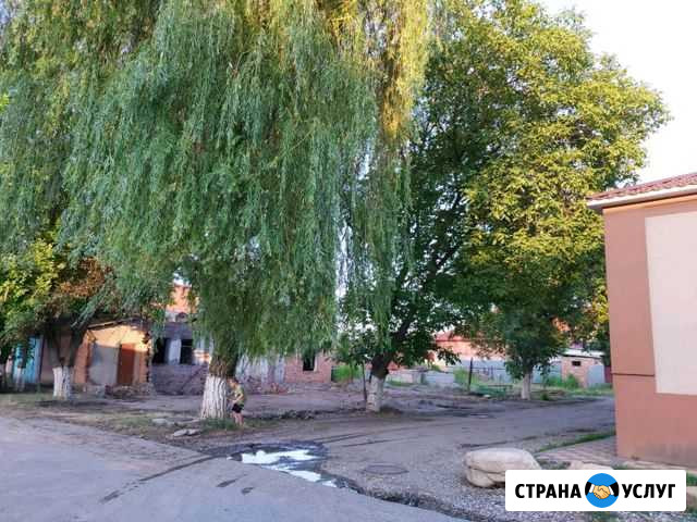 Спил спиливаем деревья вырубаем обрезка пилим любо Грозный - изображение 1