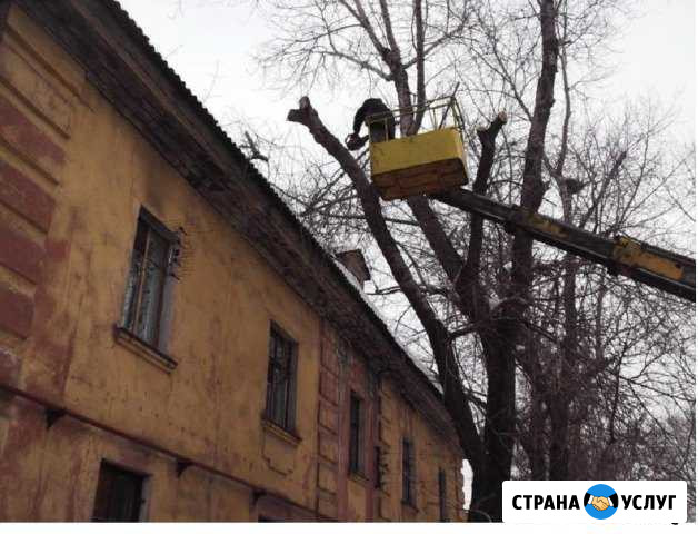 Спил деревьев, вывоз мусора Батайск - изображение 1