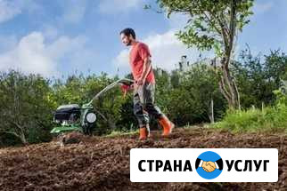 Вспашка мотоблоком Чернушка - изображение 1