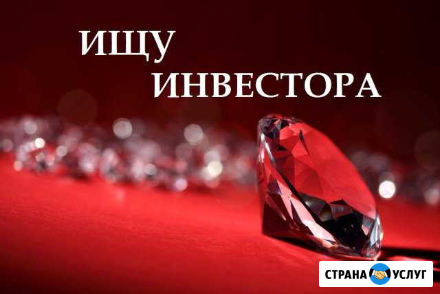 Ищу инвестора в прибыльный бизнес Пермь - изображение 1