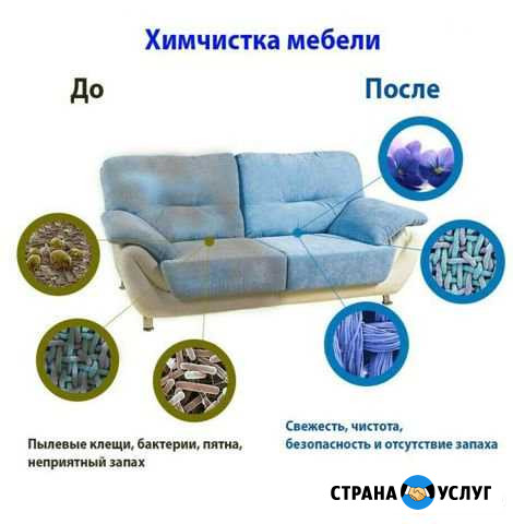 Химчистка мягкой мебели и ковров Тверь - изображение 1