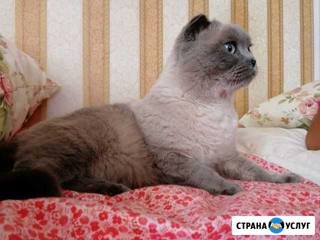 Передержка Минеральные Воды - изображение 1