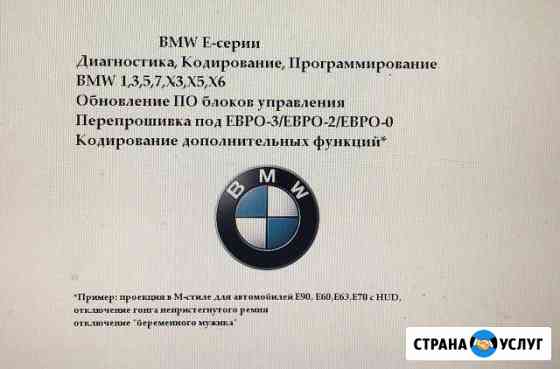 Диагностика, кодирование, программирование BMW E-s Новый Уренгой