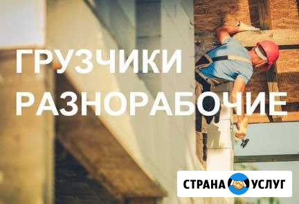 Грузчики Разнорабочие Кострома - изображение 1