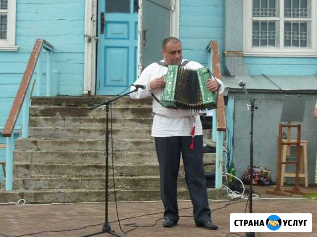 Гармонист на свадьбу, юбилей, корпоратив Кстово - изображение 1